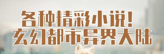 各种精彩小说！玄幻都市异界大陆